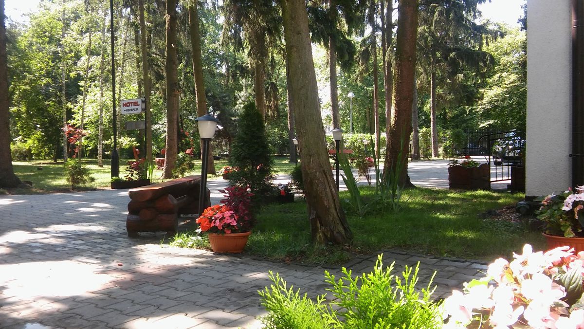 Wielkopolskie, Konin